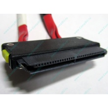 SATA-кабель для корзины HDD HP 451782-001 459190-001 для HP ML310 G5 (Монино)