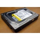 Жесткий диск 160Gb WD WD1602ABKS SATA (Монино)