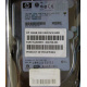 Жёсткий диск 146.8Gb HP 365695-008 404708-001 BD14689BB9 256716-B22 MAW3147NC 10000 rpm Ultra320 Wide SCSI купить в Монино, цена (Монино).