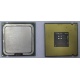 Процессор Intel Celeron D 336 (2.8GHz /256kb /533MHz) SL98W s.775 (Монино)